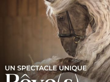 ✨ Coucou tout le monde ! ✨

Ça fait un petit moment que je ne suis plus trop présente ici, et je voulais prendre le temps de vous donner quelques nouvelles....