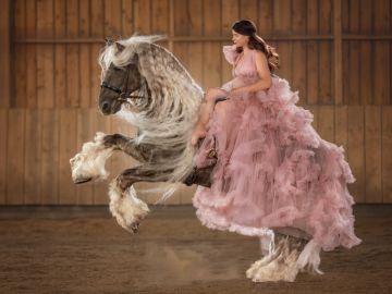 Bonjour, à tous, pour un projet d'affiche, j'ai repris ces anciennes photos 📸 de ce majestueux cheval du paradis et sa fidèle cavalière à tout jamais.
 Je...